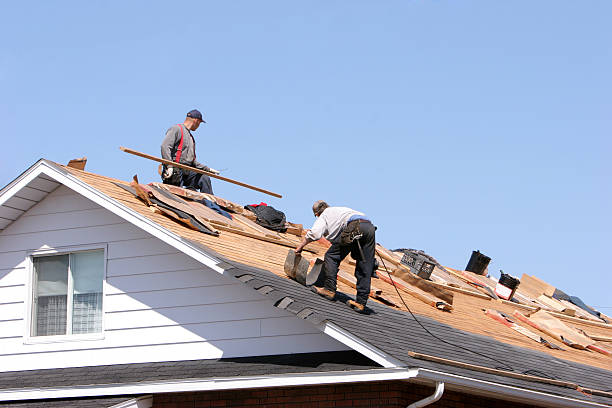Best Skylight Installation and Repair  in Palacios, TX